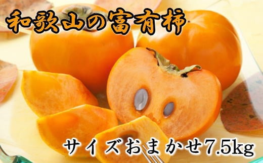 [甘柿の王様]和歌山産富有柿約7.5kgサイズおまかせ※2025年11月上旬〜2025年12月上旬頃発送予定[tec400A]