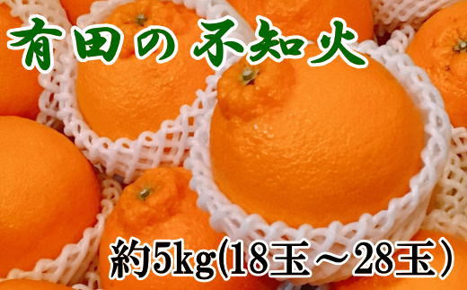 【濃厚】有田の不知火約5kg（18玉～28玉おまかせ） ※2026年2月中旬～2026年4月中旬頃に順次発送予定（日付指定不可） 【tec860A】