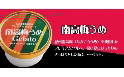 プレミアムジェラート 南高梅うめソルベ12個セット アイスクリームセット 100mlカップ ゆあさジェラートラボラトリー【kstb700-06】