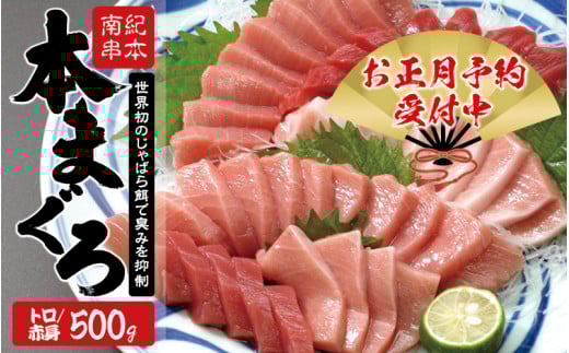 本マグロ トロ＆赤身セット 500g（養殖）【お正月予約 12月25日～30日発送】【配達日指定不可】濃厚な赤身と高級部位トロの鮪好きにはたまらないセット 【串本町×北山村】 高級 クロマグロ【nks110D-sg】