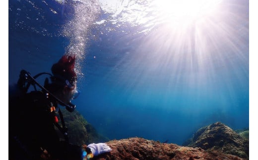 ダイビング 初級ライセンス講習 1名様分　初めてダイビングする、初めてライセンスを取得する方向けのコース　スキューバダイビング チケット【ark102】