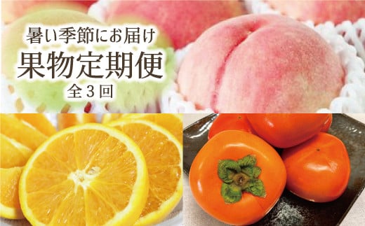【全3回定期】暑い季節にお届け!果物定期便 バレンシアオレンジ・桃・柿 旬のフルーツをお届け♪【tkb142】