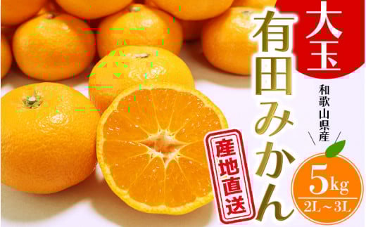 ＼ みかんの名産地 和歌山県産/ 農家直送 大玉 有田みかん 5kg (2L〜3L) ひとつひとつ手選別で厳選[2025年11月下旬〜1月中旬ごろに順次発送予定] | みかん フルーツ 果物 くだもの 有田みかん 蜜柑 柑橘[hdm001-1A]