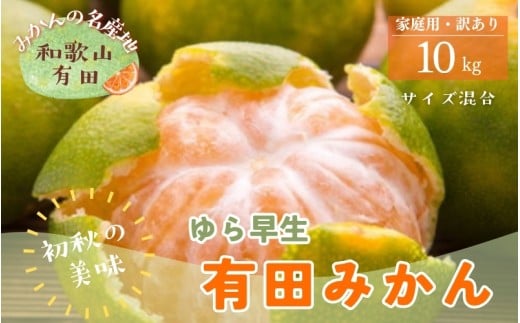 [初秋の美味][10月〜発送]有田育ちのご家庭用訳ありゆら早生有田みかん 10kg[サイズ混合][ard053B]