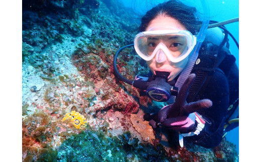 ウミウシダイビング（2ボート）1名様 スキューバダイビング【ダイバー（Cカード所持者）限定】 チケット ダイビング【kdc002】