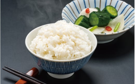 和歌山県産 キヌヒカリ 10kg(2024年産) 産地直送 米 こめ ご飯