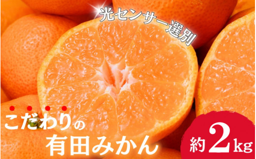 [2025年11月発送予約分]＼光センサー選別/農家直送 こだわりの有田みかん 約2kg+250g(傷み補償分) [ご家庭用][11月発送]みかん ミカン 有田みかん 温州みかん 柑橘 有田 和歌山 ※北海道・沖縄・離島配送不可/みかん ミカン 有田みかん 温州みかん 柑橘 有田 和歌山 産地直送[nuk159-11]