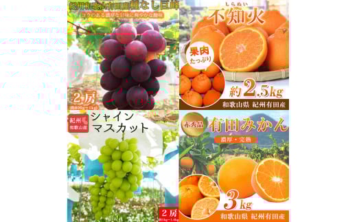 【全4回】紀州和歌山産旬のフルーツセット(巨峰・シャイン・みかん・不知火) / 果物定期便 フルーツ定期便 みかん オレンジ 柑橘 くだもの 果物 シャイン マスカット ぶどう 巨峰 しらぬい 不知火 【tkb399】