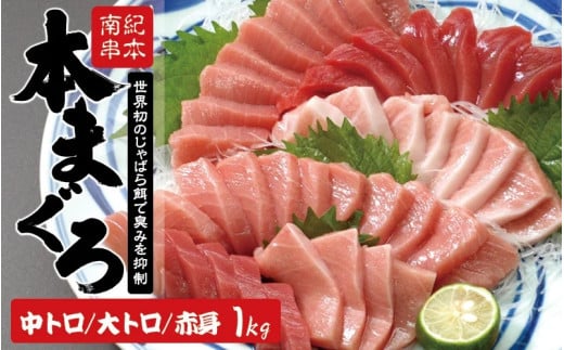 [12月発送]本マグロ トロ&赤身セット 1kg(養殖) 濃厚な赤身と高級部位トロの鮪好きにはたまらないセット [串本町×北山村][配達日指定不可] 高級 クロマグロ まぐろ マグロ 鮪 中トロ 赤身 柵 マグロ中トロ 刺身[nks105B-12]