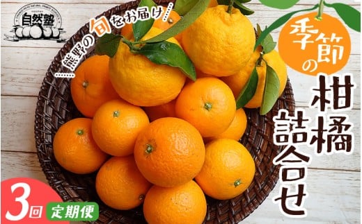 【定期便】自然塾 季節の柑橘詰合せ 3回定期便 みかん ミカン 温州みかん フルーツ 果物 くだもの 柑橘 不知火 せとか 果物定期便 フルーツ定期便 果物セット フルーツセット 甘い 濃厚 産地直送 数量限定 人気 国産 三重県 熊野市【szjk-tkb0002】
