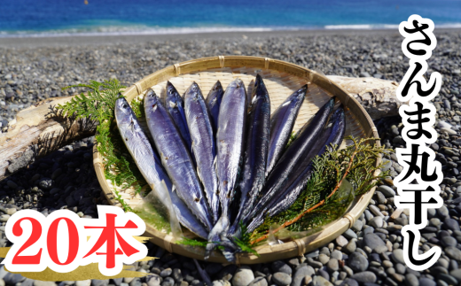 さんま丸干し 20本 魚作商店3代目の丸干し製法【uosk0016】