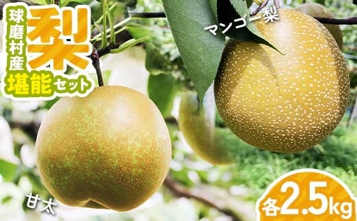 [先行予約]球磨村産梨 堪能セット(極あまっ!甘太&マンゴー梨 各2.5kg) マンゴー梨 極あま セット 果物 フルーツ
