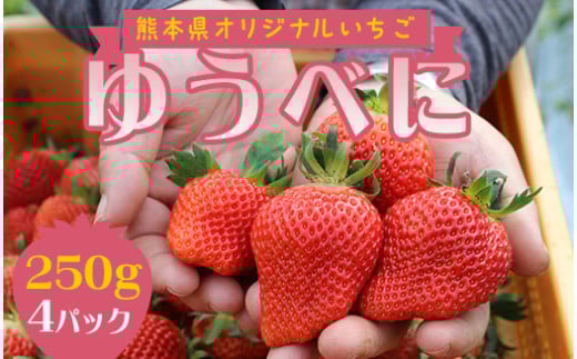 FKP9-539 【先行予約】球磨村産いちご/ゆうべに 2箱 (250g×4パック)