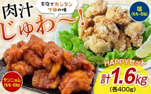 FKP9-348 唐揚げHAPPYセット(塩・ヤンニョム)1.6キロ