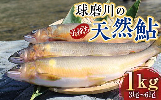 FKP9-526 球磨川の天然鮎 (子持ち) 1kg