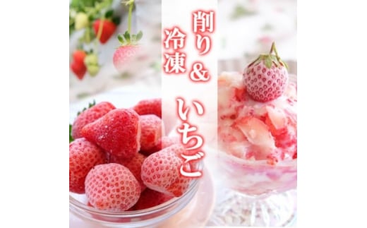 いちご 冷凍いちご 1kg&削りいちご 400g 練乳付き イチゴ 苺 果物 デザート ベリー畑 福田ファーム ※配送不可:沖縄、離島
