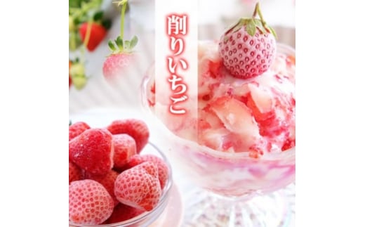 いちご ふわっと溶ける贅沢スイーツ 削りいちご 600g 練乳付き イチゴ 苺 果物 デザート ベリー畑 福田ファーム ※配送不可:沖縄、離島