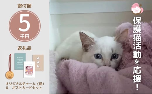 保護猫活動を応援! ロゴチャーム(紐)&ポストカード×3枚 さくらねこサポートOGORI 雑貨 日用品 猫 保護猫
