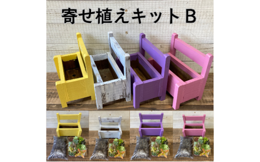 多肉植物 じぶんで植える 多肉 寄せ植えキットB 木製 ベンチ型 プランター 全4色 インテリア 植物 寄せ植え ガーデニング 福岡 小郡市 :ピンク色
