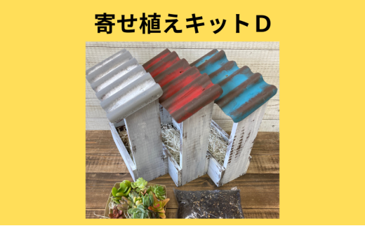 多肉植物 じぶんで植える 多肉 寄せ植えキットD 木製 屋根付き プランター 全3色 インテリア 植物 寄せ植え ガーデニング 福岡 小郡市 :赤色