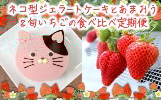 2回お届け いちご ジェラートケーキ あまおうと旬のいちご 各2パック いちご職人 白木のいちご あまおうづくし 2回 コース イチゴ 苺 果物 デザート お楽しみ ※配送不可:沖縄・離島