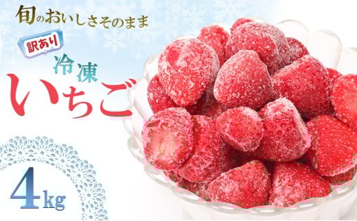訳あり いちご 白木のいちご 旬のおいしさそのまま 冷凍いちご 4kg わけあり イチゴ 苺 果物 デザート ※配送不可:沖縄・離島