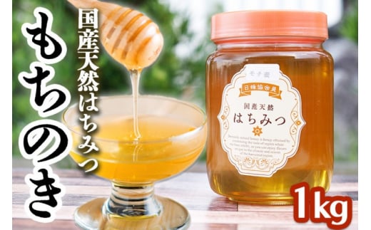 はちみつ 1kg 非加熱 国産 天然 純はちみつ もちの木 蜂蜜 ハチミツ 天然蜂蜜 天然はちみつ 国産はちみつ 国産蜂蜜 無添加 無加工 非加熱はちみつ 非加熱蜂蜜 瓶詰め 福岡 福岡県 小郡市