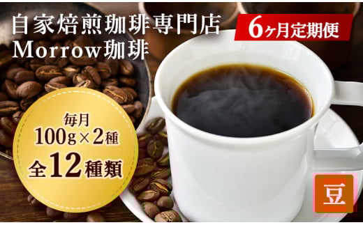 コーヒー豆 定期便 6ヶ月 自家焙煎 Morrow珈琲 2種 各100g セット 詰め合わせ レギュラーコーヒー 珈琲 コーヒー 珈琲豆 ドリップコーヒー ドリップ 自家焙煎珈琲 自家焙煎コーヒー 6回 半年 お楽しみ 福岡 福岡県 小郡市