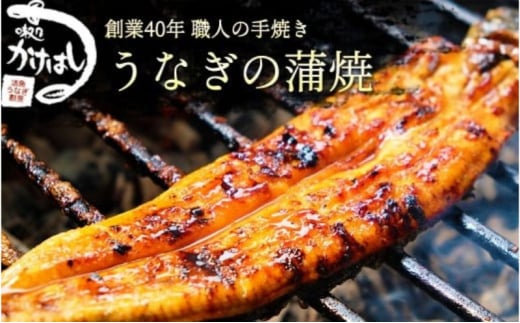 創業40年 全てが職人による手焼き うなぎの蒲焼き 4尾