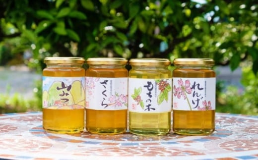 はちみつ 国産 天然 純はちみつ 370g×4本セット れんげ&もちのき&やまみつ&さくら ハチミツ 蜂蜜