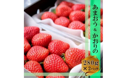 いちご いちごの王様 あまおう&かおりの 各1パック セット (280g×2) イチゴ 苺 果物 デザート ベリー畑 福田ファーム ※配送不可:沖縄、離島