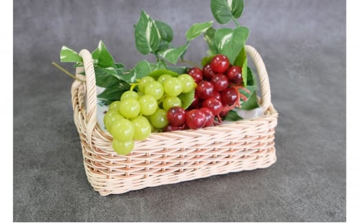 籐の角形手編みかご　手つき（中）[カラーラタン彩都]