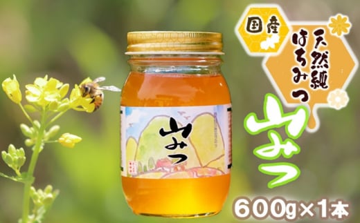 はちみつ 国産 天然 純はちみつ やまみつ 600g ハチミツ 蜂蜜 | 福岡県小郡市 | JRE MALLふるさと納税