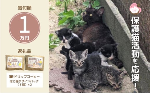 ドリップコーヒー さくらねこサポートOGORI 保護猫活動を応援! コーヒー ドリップパック 10袋入り 珈琲 飲料