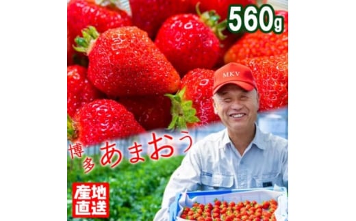 いちご 産地直送 栽培期間中 減農薬栽培 あまおう 2パック (約280g×2) イチゴ 苺 先行予約 ※配送不可:北海道、沖縄、離島