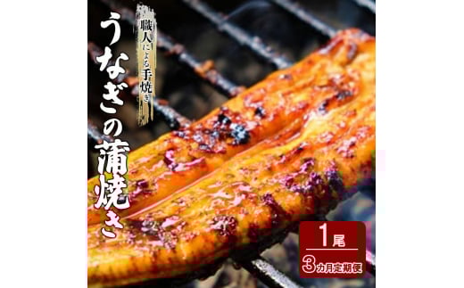 定期便 3回 うなぎ 職人による手焼き うなぎの蒲焼き 定期便(1尾×3ヵ月) ウナギ
