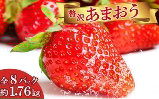いちご 贅沢 あまおう 8パック 総重量 約1.7kg 果物 デザート 苺 イチゴ 果物 くだもの フルーツ 旬のフルーツ 季節のフルーツ 旬の果物 季節の果物 福岡 福岡県 小郡市