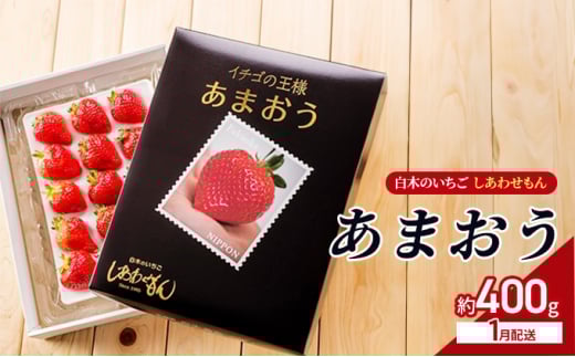 いちご 1月配送 しあわせもん あまおう 化粧箱 1箱 いちご職人 白木のいちご イチゴ 苺 果物 デザート ※配送不可:沖縄・離島