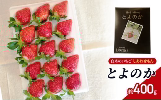 いちご いちご職人 白木のいちご しあわせもん とよのか 化粧箱 1箱 イチゴ 苺 果物 デザート ※配送不可:沖縄・離島