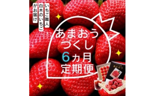 定期便 6ヶ月 いちご いちご職人 白木のいちご あまおうづくし 6回 コース イチゴ 苺 果物 デザート お楽しみ ※配送不可:沖縄・離島