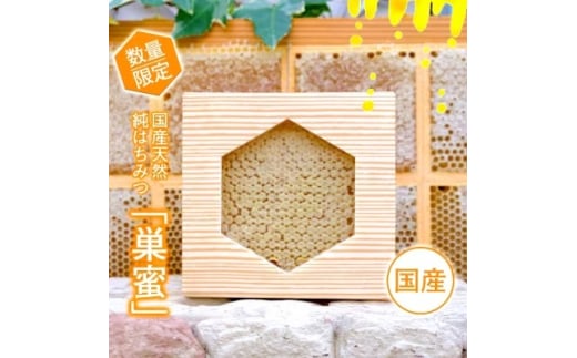 天然 国産 純はちみつ 巣蜜 約250g前後