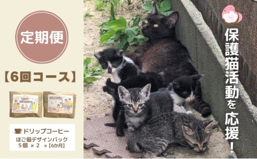 定期便 6回 コーヒー 保護猫活動を応援! ドリップバッグ 10袋×6カ月 珈琲 ドリップコーヒー