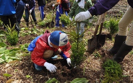 (4)花と緑があふれるまちづくりに関する事業