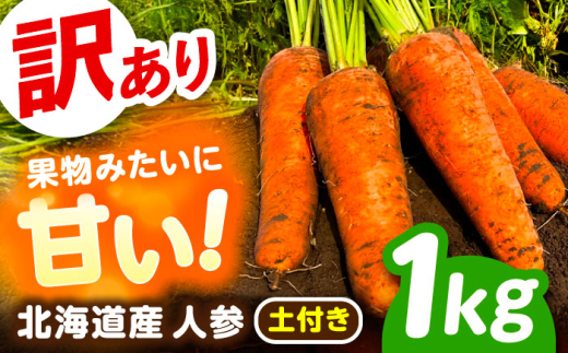 北海道 訳ありにんじん 1kg（土付き）《足寄町》【餌取農場】 北海道産 甘い 訳あり 規格外 キズ 傷 人参 野菜 根菜 ニンジン 1kg 道産 キャロット 糖度高め サラダ ジュース 生鮮野菜 北海道産 あしょろ 足寄 [BEBA003]