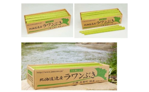 【先行予約】北海道足寄町産 生ラワンぶき 3kg【6月上旬以降発送】《足寄町》【足寄町農業協同組合】ふき フキ ラワンブキ 螺湾ぶき 山菜 足寄町産 北海道産 道産 国産 足寄町 12000 12000円 [BEAB011]