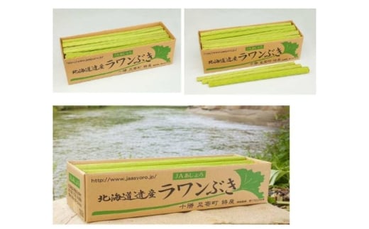 【先行予約】北海道足寄町産 生ラワンぶき 10kg【6月上旬以降発送】　《足寄町》【足寄町農業協同組合】ふき フキ ラワンブキ 螺湾ぶき 山菜 採れたて 新鮮 水煮 煮物 おでん ギフト 足寄町産 北海道産 道産 国産 足寄町 北海道 27000 27000円 [BEAB013]