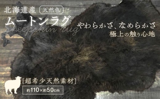 希少 有色仔羊 ムートン（天然ブラウン）約110cm《足寄町》【石田めん羊牧場】ムートン 羊 羊毛 天然素材 高級 インテリア マット ベビー用 赤ちゃん ペット用 ペット 介護用 あしょろ 北海道 [BEAD004]