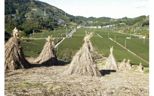 （６）産業又は観光の振興