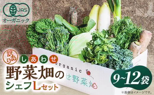 しあわせ野菜畑のシェフLセット　(訳あり規格外の有機野菜を一部使用)【1608189】