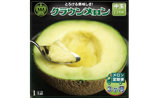 <毎月定期便>クラウンメロン(白等級) 中玉1玉 全3回【4012654】